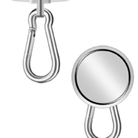 Magnet